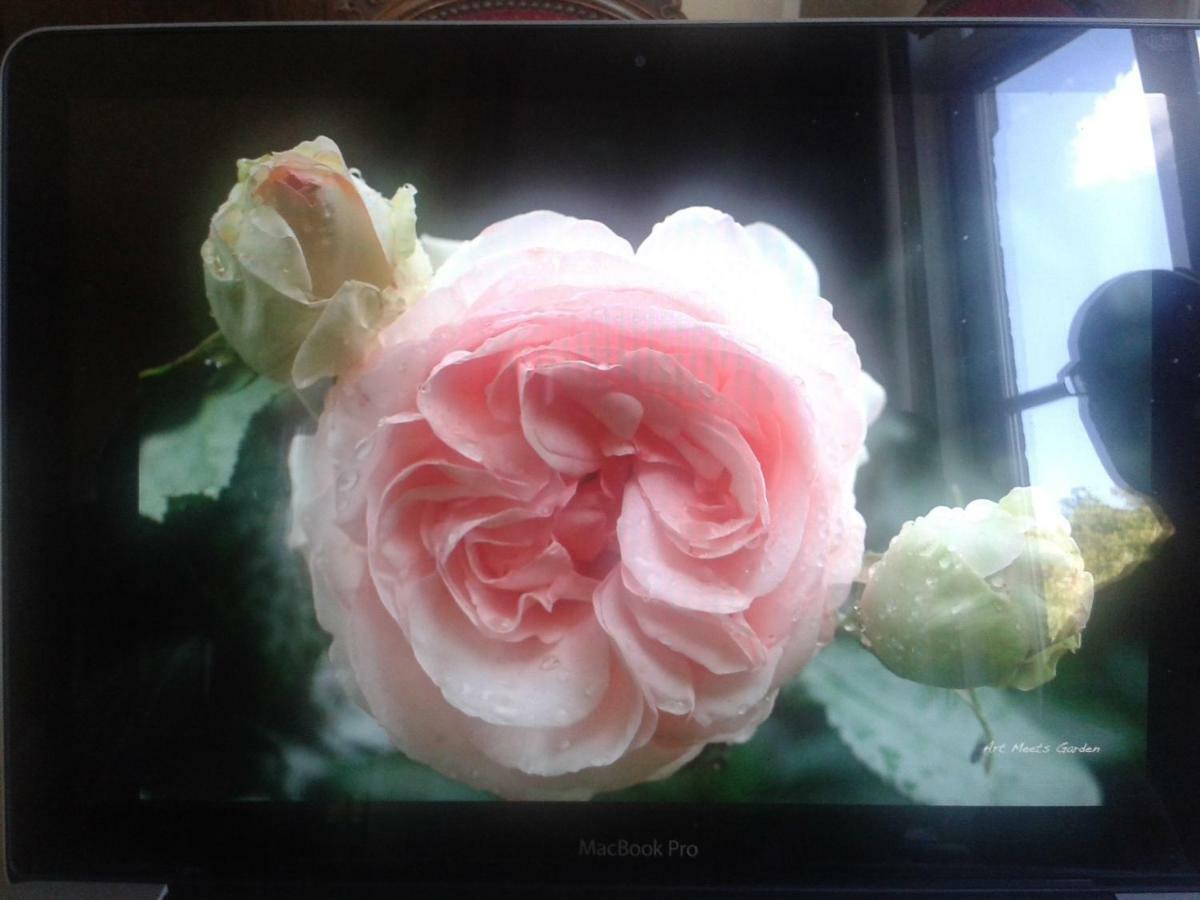 La Villa Des Roses Durbuy Εξωτερικό φωτογραφία