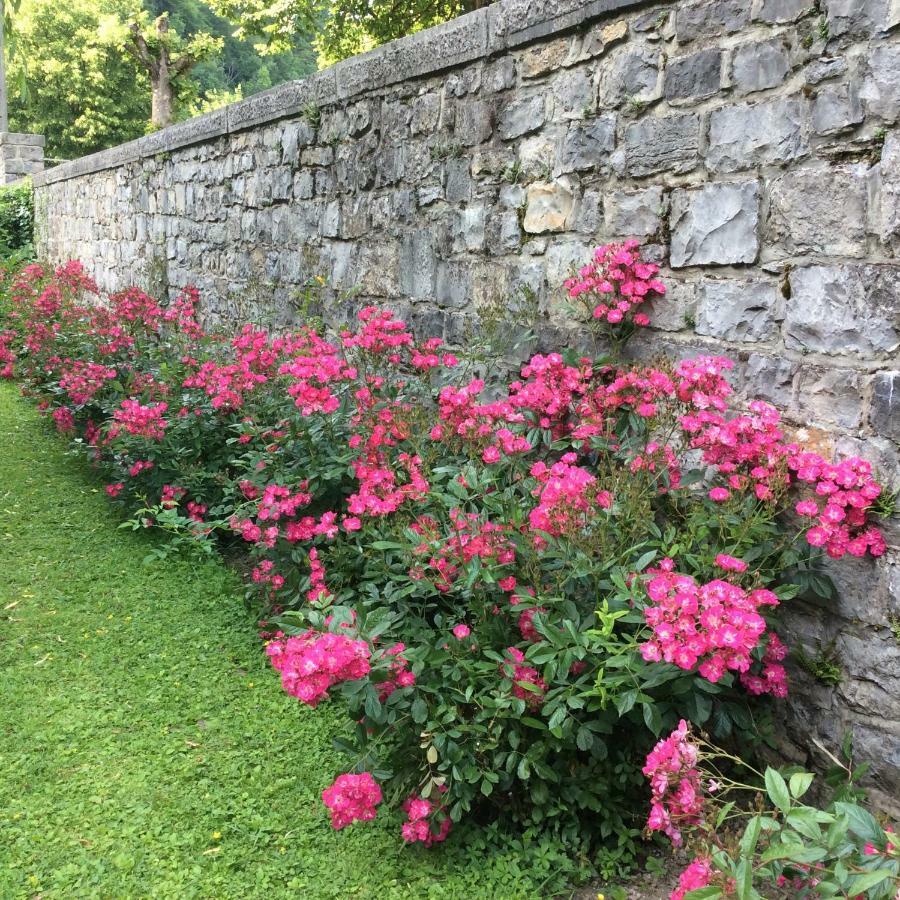 La Villa Des Roses Durbuy Εξωτερικό φωτογραφία